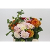 Dahlia Gemengd in fust