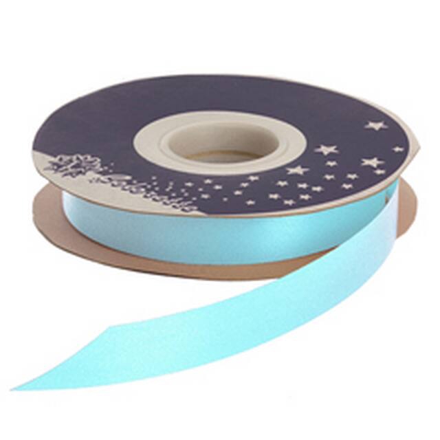 <h4>Poly seta lint 19mm x100y ciel 14</h4>