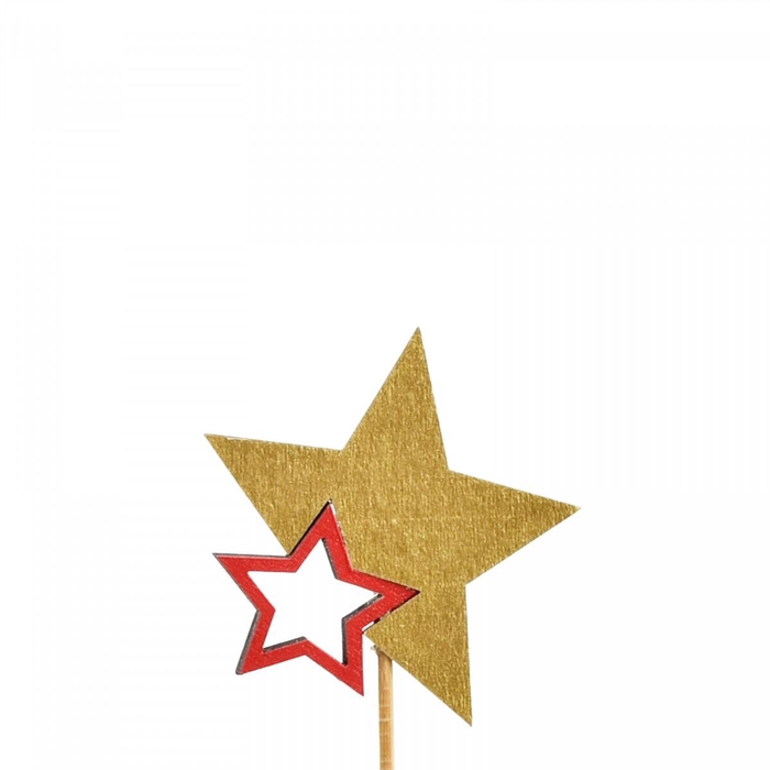 <h4>20cm Ster duo 7cm</h4>