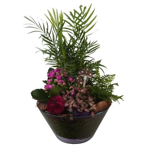 <h4>PTHG8277 Arrangement Autumn Glass in glas schaal</h4>