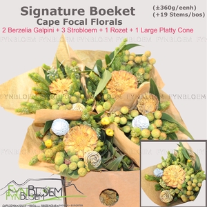 KAAPS GROE GEM IN BS