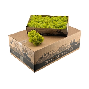 Ijslandsmos Spring Groen