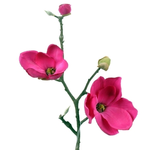 AF Magnolia L41cm fuchsia