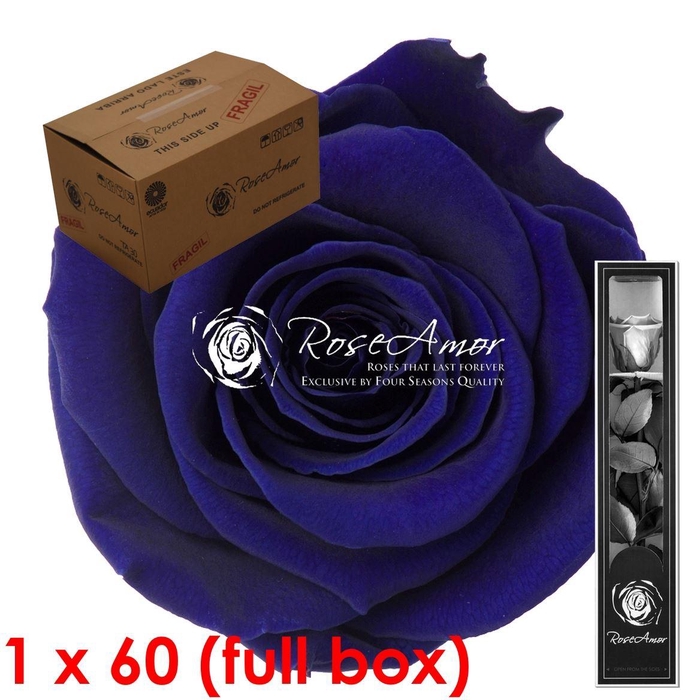 <h4>30cm Stem Blu03 Bulk</h4>