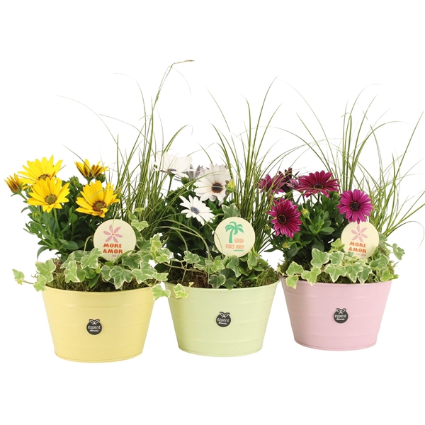<h4>31654: Outdoor summer arrangement</h4>