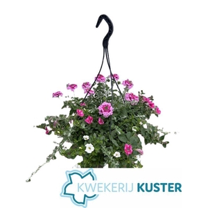 HANGING BASKETS