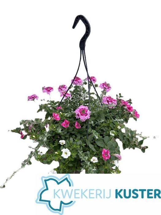 <h4>HANGING BASKETS</h4>