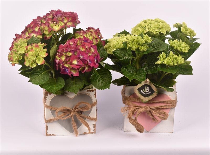 <h4>Hout met hart en touw 12x12cm</h4>