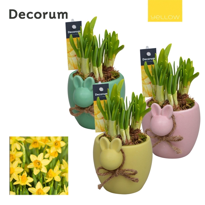 <h4>Narcis Bunny HL13275 [YELLOW]</h4>