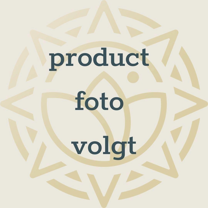 <h4>Chlorophytum comosum variegatum 12cm</h4>