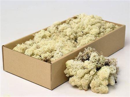 <h4>Reindeer Moss Natural Grey 500gr.</h4>