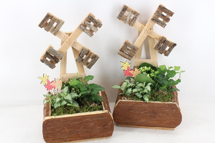 <h4>arr2 TD - Hout windmolen - roze/wit</h4>