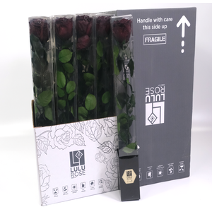 Rosa Preserved Stem 50cm Elegant Red Wine