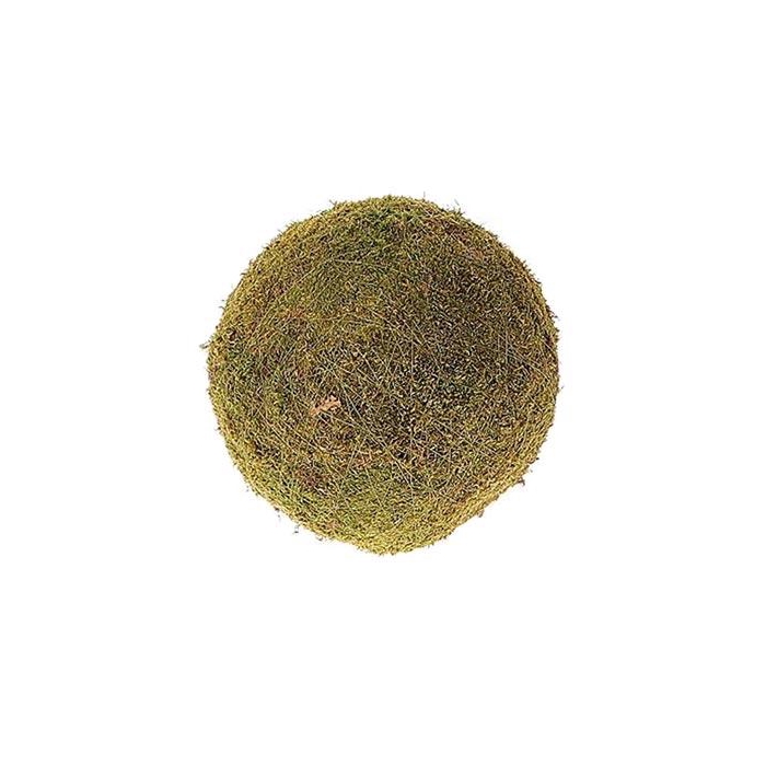 <h4>Ball Flat Moss D30</h4>