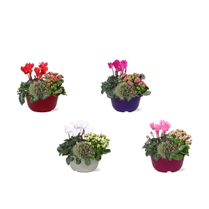 Hello Autumn trio in schaal 19 cm