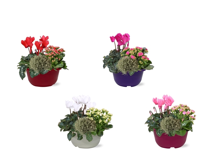 <h4>Hello Autumn trio in schaal 19 cm</h4>