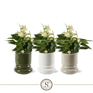 Geneve Keramiek White