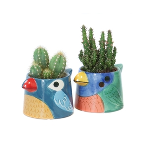 Cactus 8,5 cm in blauwe tanager bird planter