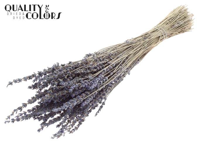 Lavendel Premium 100gr per bunch