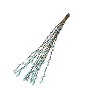 Droogbloem Wilgenkatjes 70cm