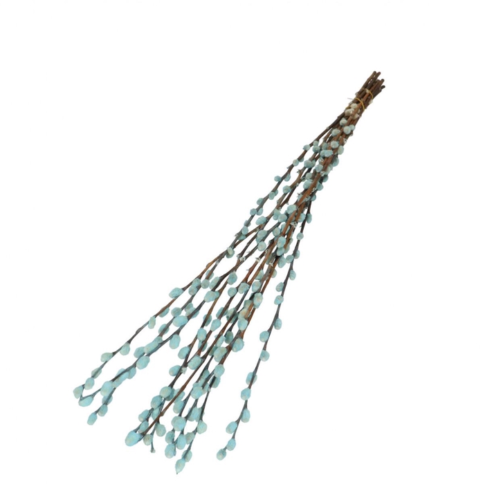 <h4>Wilgenkatjes 70cm</h4>