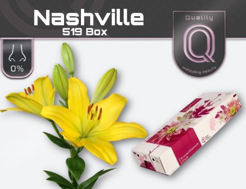 <h4>Li La Nashville</h4>