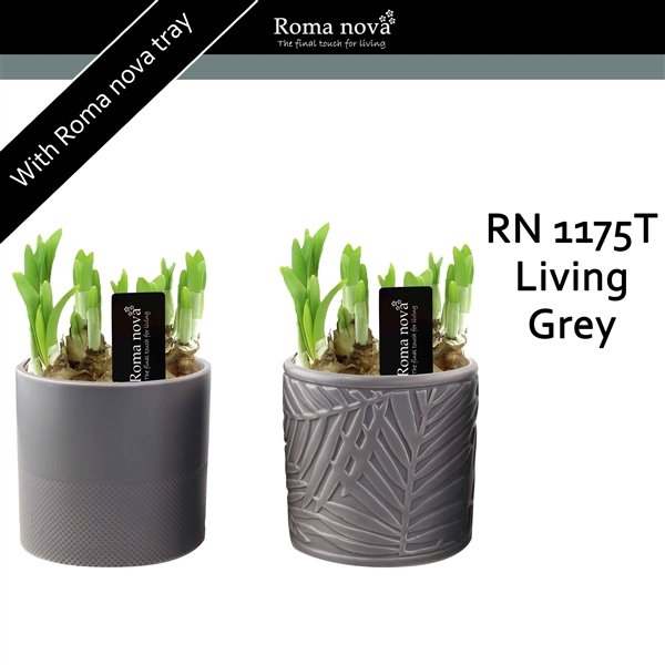 <h4>1175T - Living Grey (Tete a Tete)</h4>