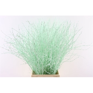 Berk 70cm Mint Green Bunch