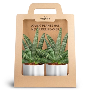 2-Pack Nordic White, Boncellen