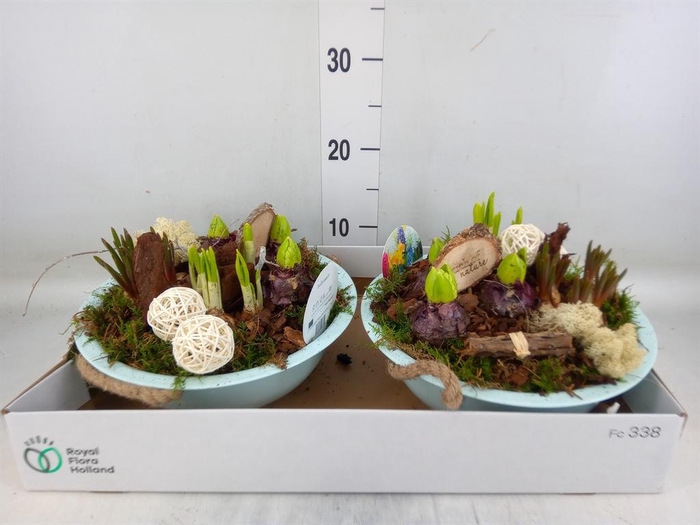 <h4>Arr.   Bol/Knolgewas L%</h4>