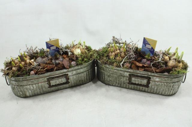 <h4>G246ZINK OVAAL BM</h4>