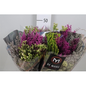 Kaaps Safari Groen Bq