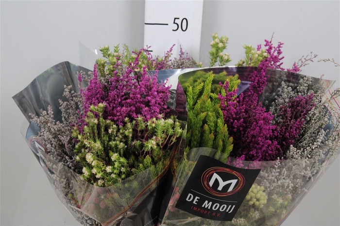 <h4>Kaaps Safari Groen Bq</h4>