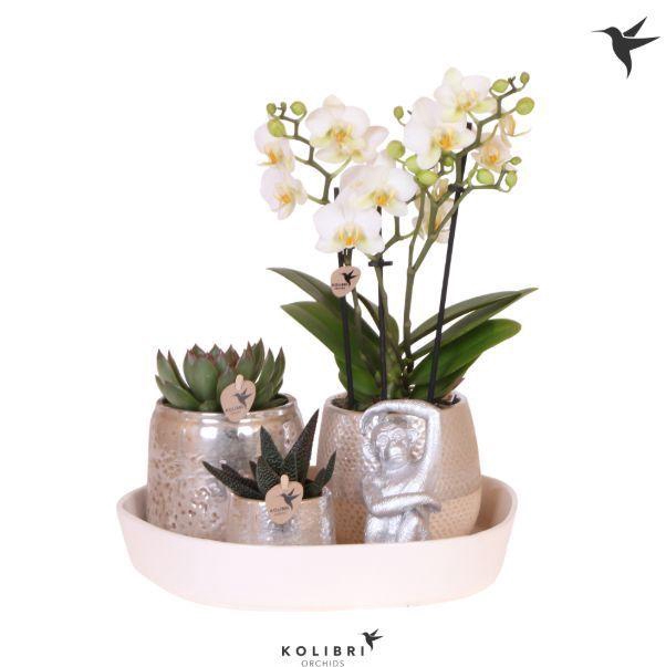 <h4>Kolibri Gift Set Hotel Chic silver</h4>