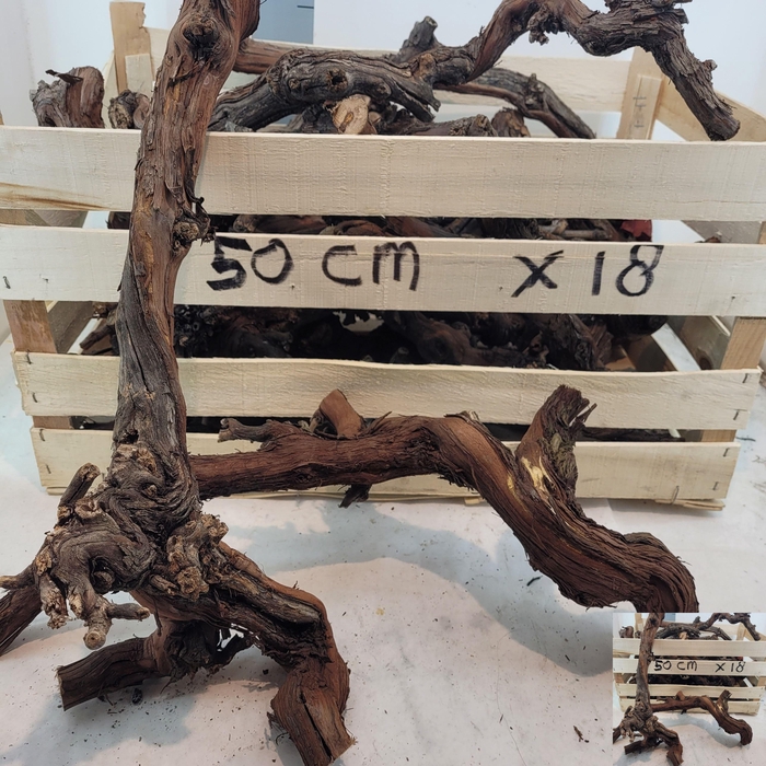 <h4>HUIS EN TUINDECO OV</h4>