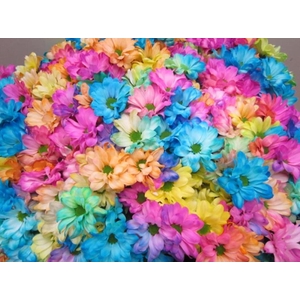 Chr T Kennedy Rainbow