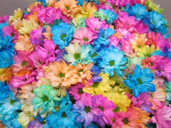 <h4>Chr T Kennedy Rainbow</h4>