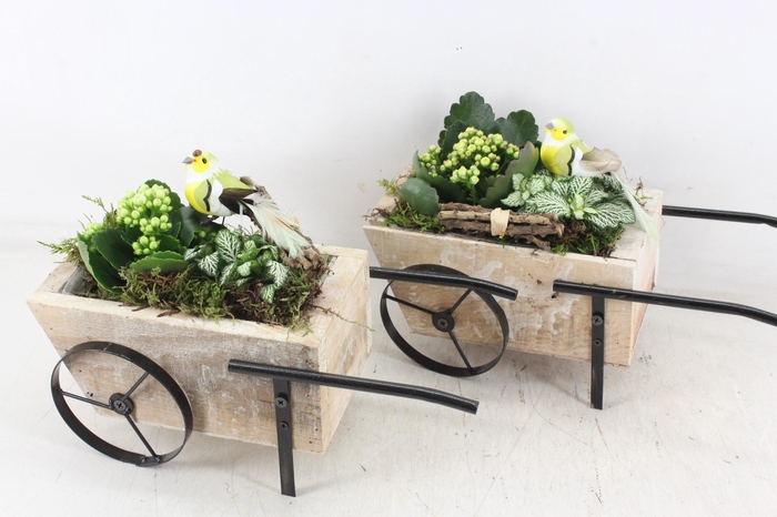 <h4>arr2 TD - Handkar - geel/wit</h4>