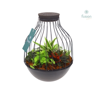 Vogelkooi metaal zwart Medium met Groene Planten