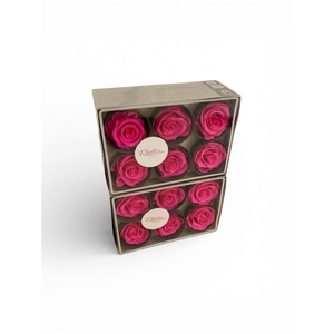 Arrangementen Potroos H%