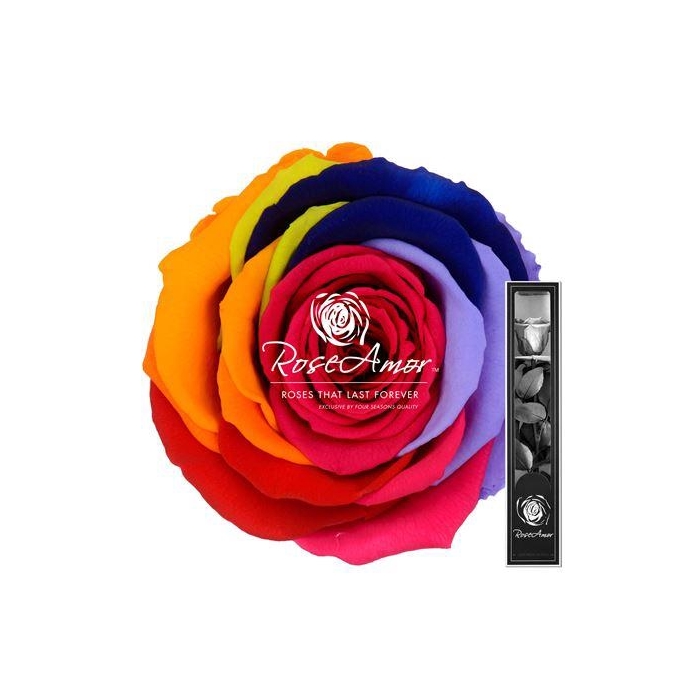 <h4>30cm Stem Rainbow Red02</h4>