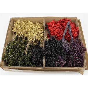 Schinus M Pt Christmas Mix Bunch