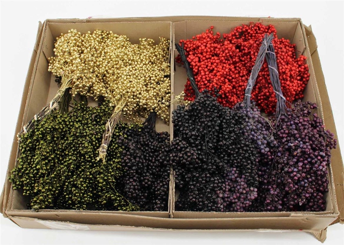 <h4>Schinus M Pt Christmas Mix Bunch</h4>