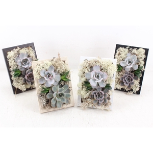 arr3 Demi - Schilderij