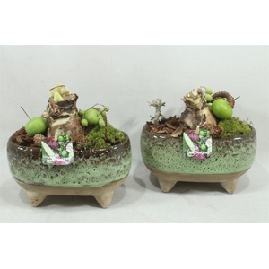 arr4 Amaryllis MBD78 - Ker ovaal op pootjes
