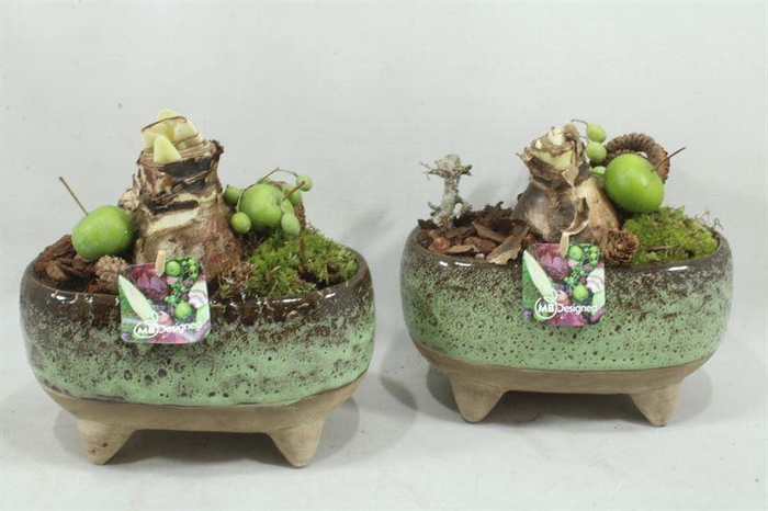 <h4>arr4 Amaryllis MBD78 - Ker ovaal op pootjes</h4>
