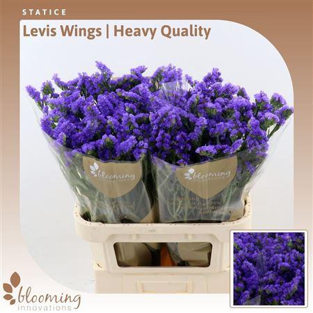 <h4>Statice Levis Wings | Heavy Quality</h4>