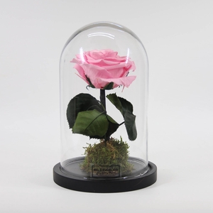 Stolp d12x20h XL roze glas