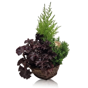 Arrangement in mand 19 cm Herfst