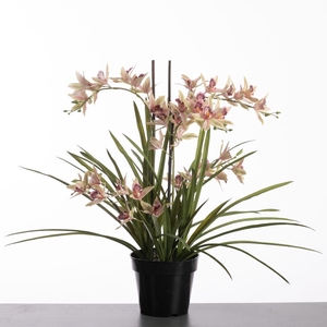 Af Dendro X5 Pot 71cm Gree/pin